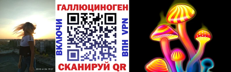 Псилоцибиновые грибы Psilocybine cubensis Называевск